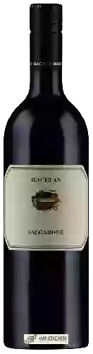 Winery Maculan - Salgarone