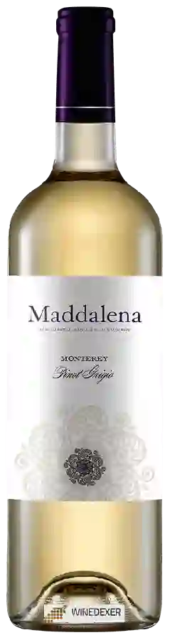 Winery Maddalena Vineyards - Pinot Grigio Winery Maddalena Vineyards - Pinot Grigio