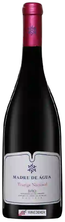 Winery Madre de Água - Touriga Nacional