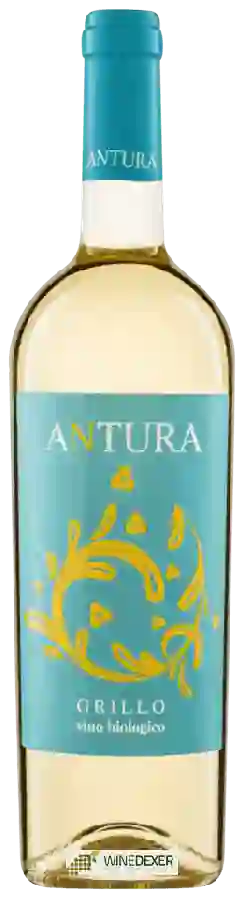 Winery Maggio Vini - Antura Grillo