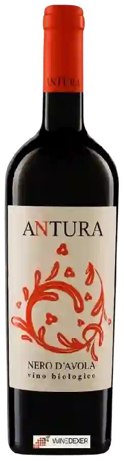 Winery Maggio Vini - Antura Nero d'Avola
