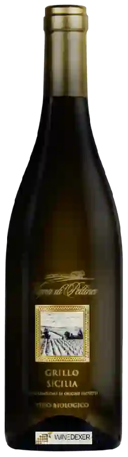 Winery Maggio Vini - Vigna di Pettineo Grillo
