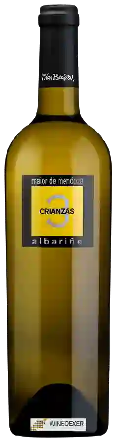 Winery Maior de Mendoza - 3 Crianzas Albariño