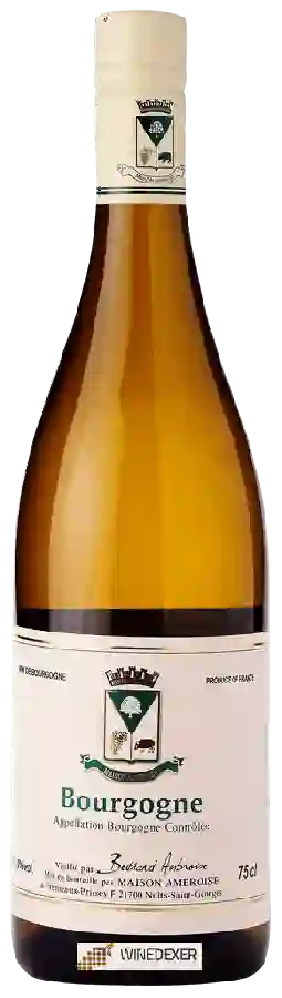 Winery Bertrand Ambroise - Bourgogne Blanc Winery Bertrand Ambroise - Bourgogne Blanc