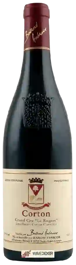 Winery Bertrand Ambroise - Corton Le Rognet Grand Cru