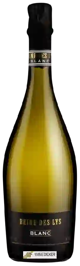 Maison Colin Seguin - Reine des Lys Blanc