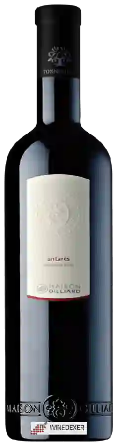 Maison Gilliard - Antarès Assemblage Maison Gilliard - Antarès Assemblage