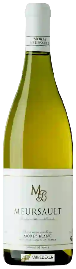 Winery Morey-Blanc - Meursault