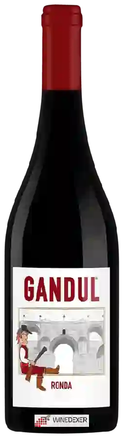 Winery Málaga Virgen - Gandul Ronda