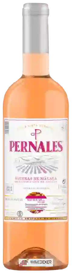 Winery Málaga Virgen - Pernales Rosado Syrah