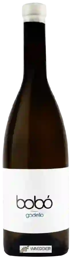 Winery Malandrin - Bobo Godello