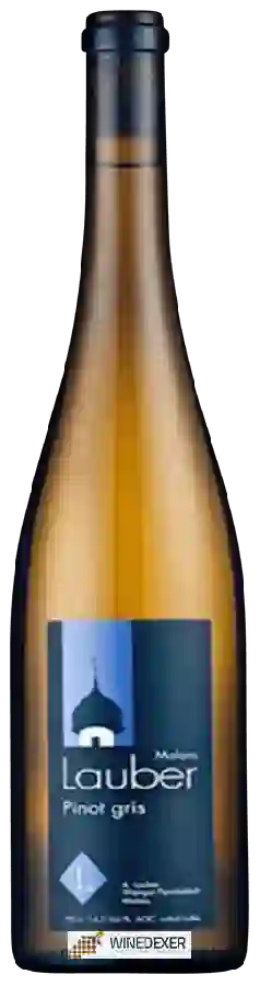 Winery Lauber - Pinot Gris