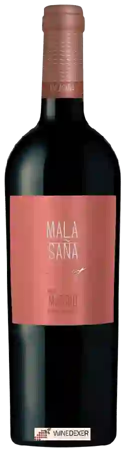 Winery Malasaña - Tinto