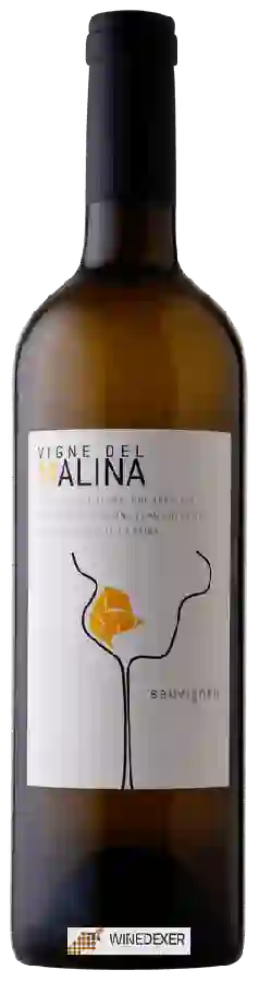 Winery Vigne del Malina - Sauvignon Winery Vigne del Malina - Sauvignon