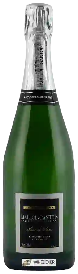 Winery Mallol-Gantois - Blanc de Blancs Brut Champagne Grand Cru 'Cramant' Winery Mallol-Gantois - Blanc de Blancs Brut Champagne Grand Cru 'Cramant'