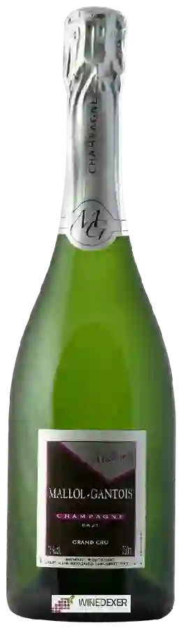 Winery Mallol-Gantois - Millésimé Brut Champagne Grand Cru 'Cramant' Winery Mallol-Gantois - Millésimé Brut Champagne Grand Cru 'Cramant'