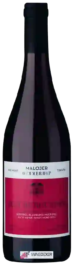 Winery Malojer Gummerhof - Blauburgunder Winery Malojer Gummerhof - Blauburgunder
