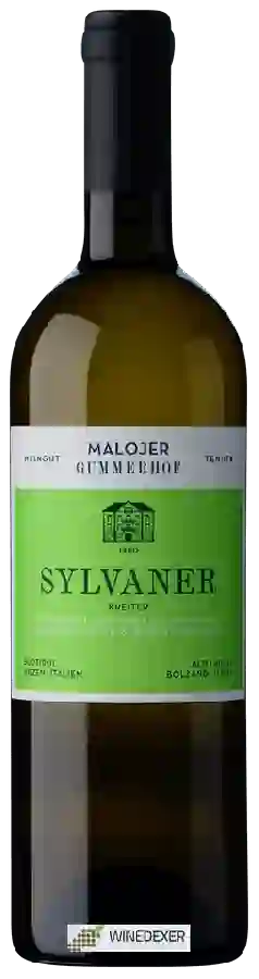 Winery Malojer Gummerhof - Sylvaner Winery Malojer Gummerhof - Sylvaner