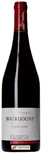 Winery Vignerons de Mancey - Bourgogne Pinot Noir