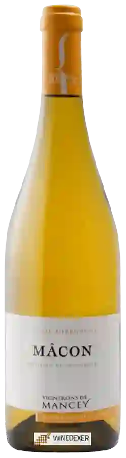 Winery Vignerons de Mancey - Mâcon