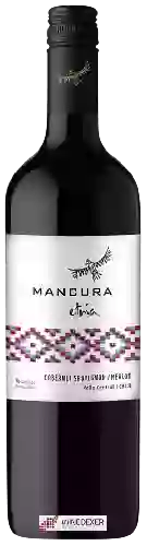 Winery Mancura - Etnia Cabernet Sauvignon - Merlot