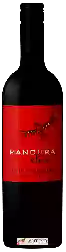 Winery Mancura - Etnia Cabernet Sauvignon