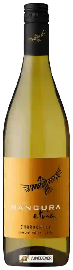 Winery Mancura - Etnia Chardonnay Winery Mancura - Etnia Chardonnay
