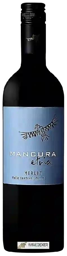 Winery Mancura - Etnia Merlot Winery Mancura - Etnia Merlot