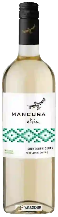 Winery Mancura - Etnia Sauvignon Blanc