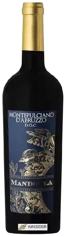 Winery Mandorla - Montepulciano d'Abruzzo