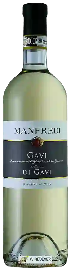 Winery Manfredi - Gavi del Comune di Gavi Winery Manfredi - Gavi del Comune di Gavi