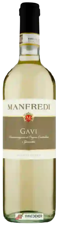 Winery Manfredi - Gavi