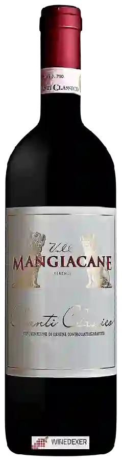 Winery Villa Mangiacane - Chianti Classico