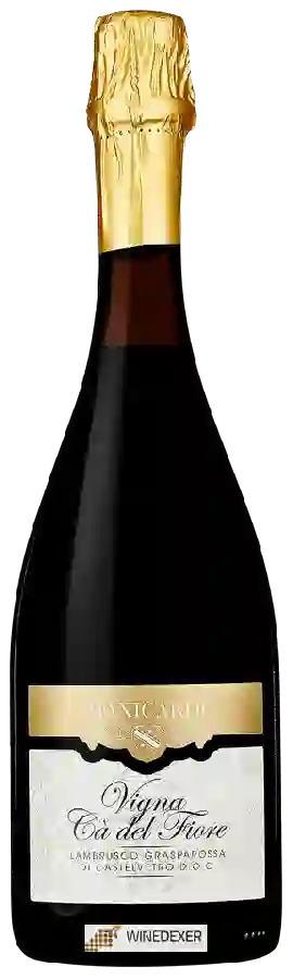 Winery Manicardi - Vigna Cà del Fiore Lambrusco Grasparossa di Castelvetro Winery Manicardi - Vigna Cà del Fiore Lambrusco Grasparossa di Castelvetro