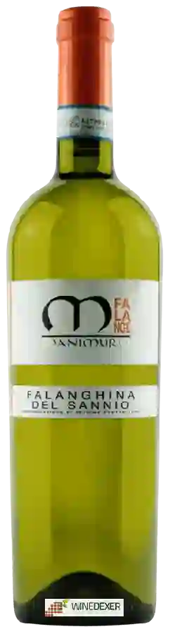 Winery Manimurci - Falange Falanghina del Sannio