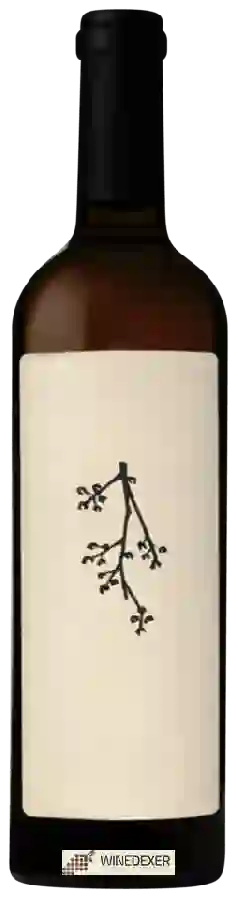 Winery Manlio Manganaro - Bianco Winery Manlio Manganaro - Bianco