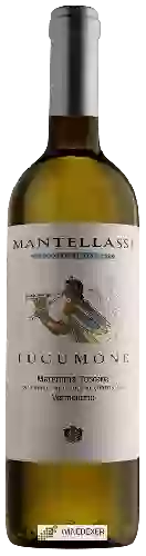 Winery Mantellassi - Lucumone Maremma Toscana Vermentino