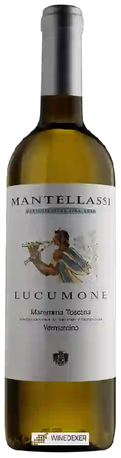 Winery Mantellassi - Lucumone Maremma Toscana Vermentino Winery Mantellassi - Lucumone Maremma Toscana Vermentino