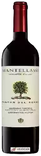 Winery Mantellassi - Punton del Sorbo Maremma Toscana Cabernet Sauvignon