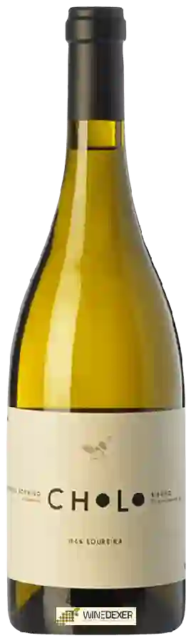 Bodega Finca Teira - Cholo