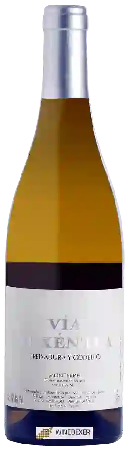 Winery Vía Arxéntea - Treixadura - Godello Winery Vía Arxéntea - Treixadura - Godello