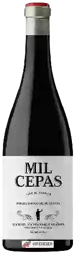 Winery Manuel Manzaneque Suárez - Mil Cepas