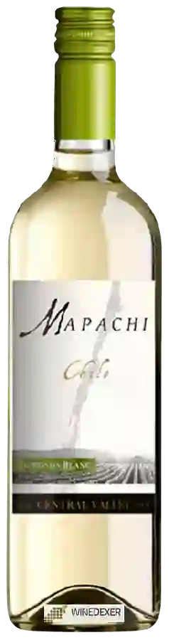 Winery Mapachi - Sauvignon Blanc