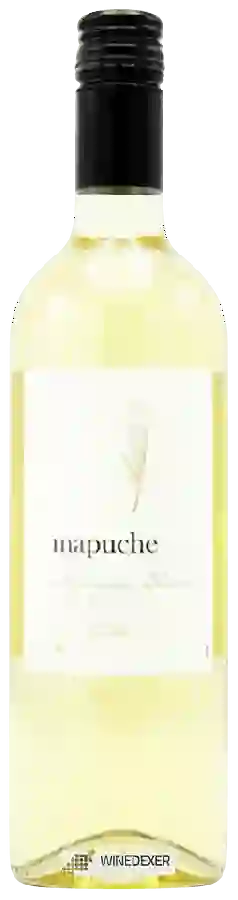 Winery Mapuche - Sauvignon Blanc Winery Mapuche - Sauvignon Blanc