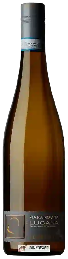 Winery Marangona - Cemento Lugana