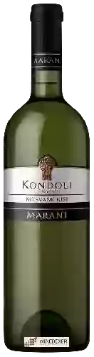 Winery Marani - Kondoli Vineyards Mtsvane - Kisi