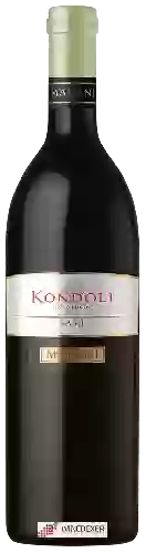 Winery Marani - Kondoli Vineyards Sami
