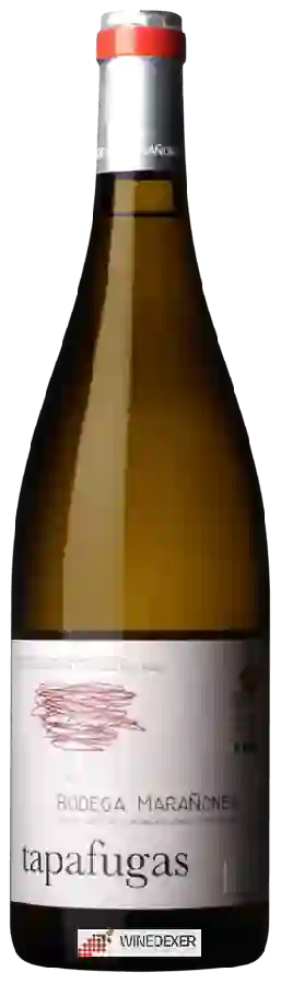 Bodega Marañones - Tapafugas