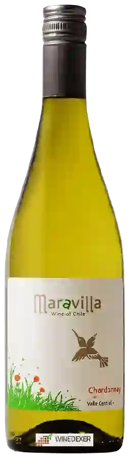 Winery Maravilla - Chardonnay Winery Maravilla - Chardonnay
