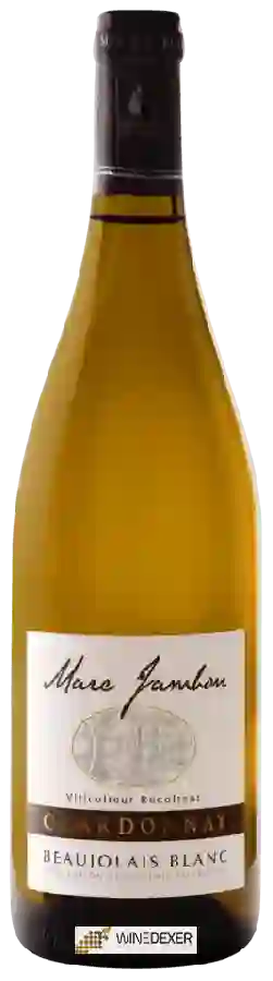 Winery Marc Jambon - Beaujolais Chardonnay Blanc